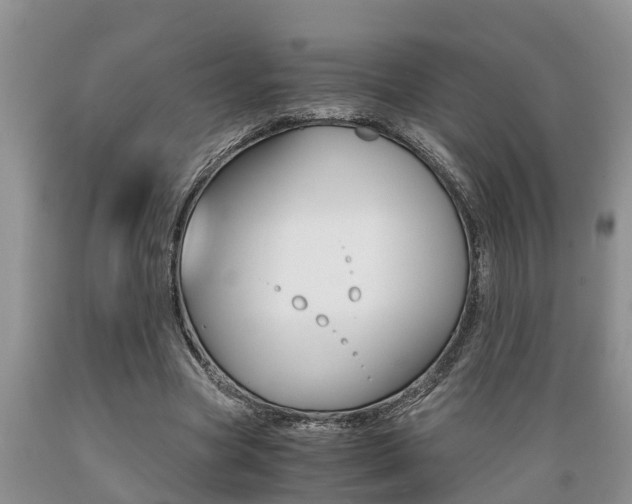 X0000089730537200706210918