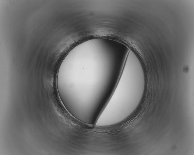X0000089730539200706210918