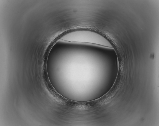 X0000089730540200706210918