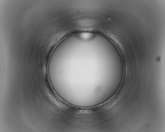 X0000089730541200706210918