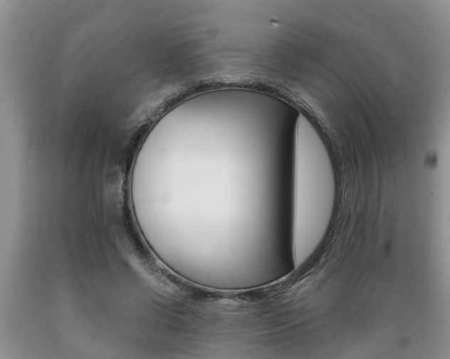 X0000089730542200706210918