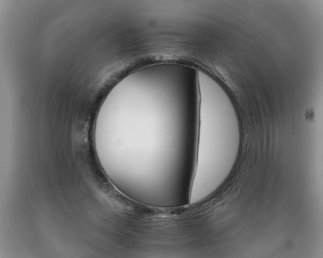 X0000089730543200706210918