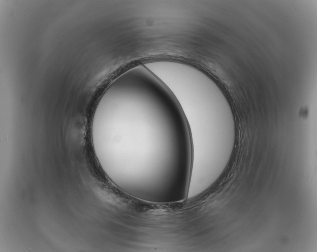 X0000089730544200706210918