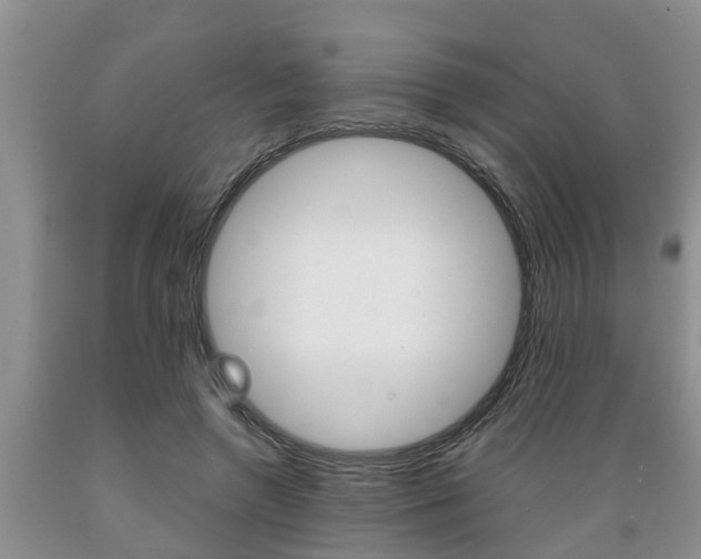 X0000089730546200706210918