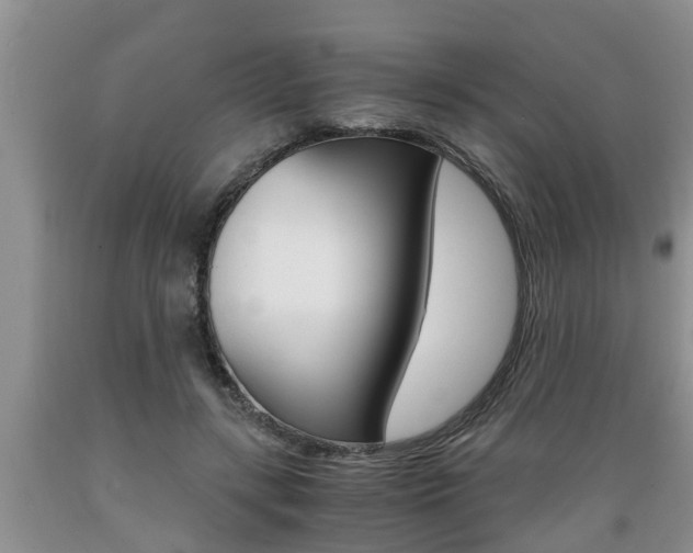 X0000089730547200706210918