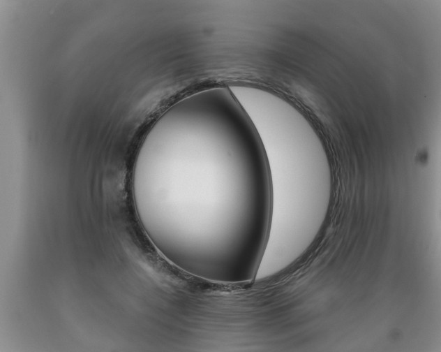 X0000089730548200706210918