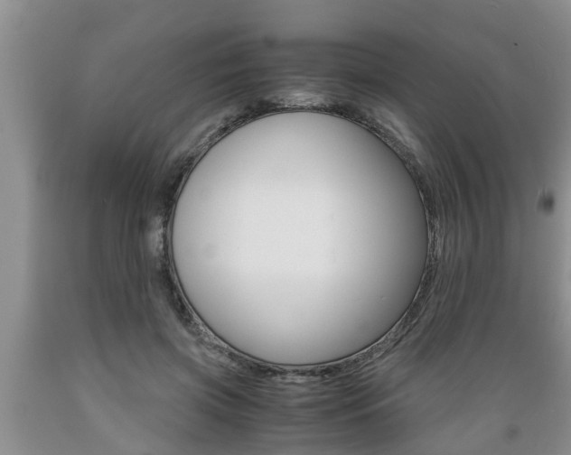 X0000089730549200706210918