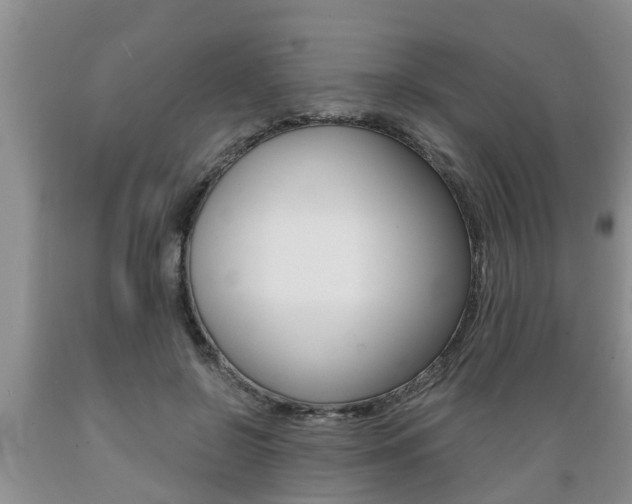 X0000089730550200706210918