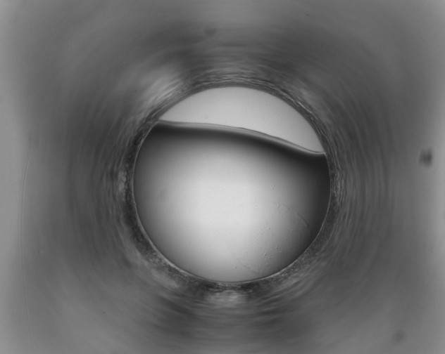 X0000089730551200706210918