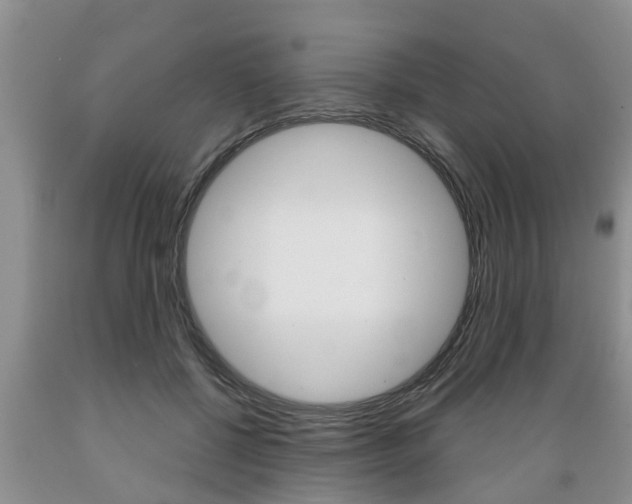 X0000089730552200706210918