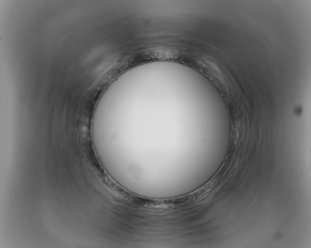 X0000089730553200706210918