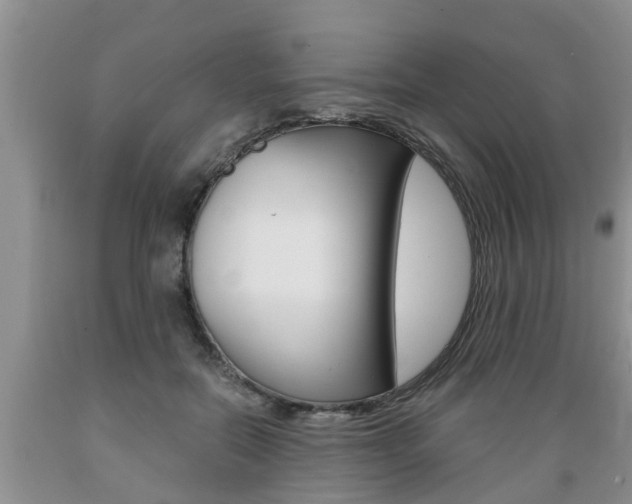 X0000089730554200706210919