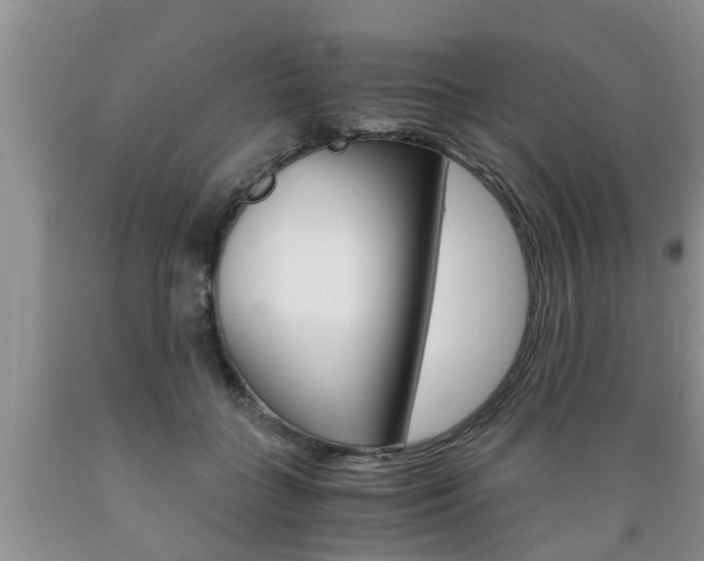 X0000089730555200706210919