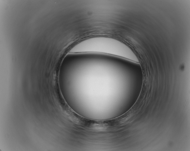 X0000089730556200706210919
