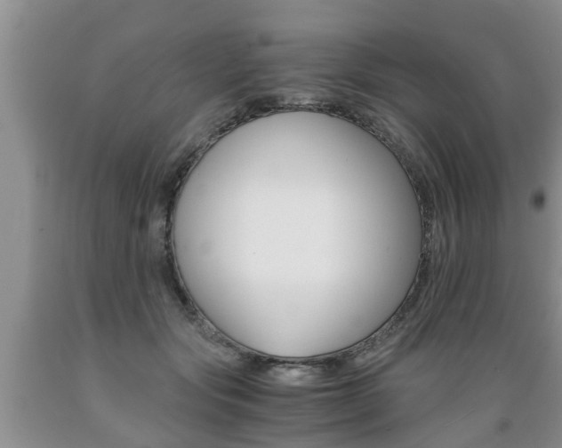 X0000089730557200706210919