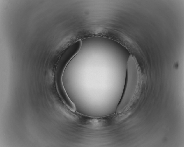 X0000089730558200706210919