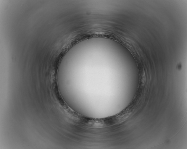 X0000089730559200706210919