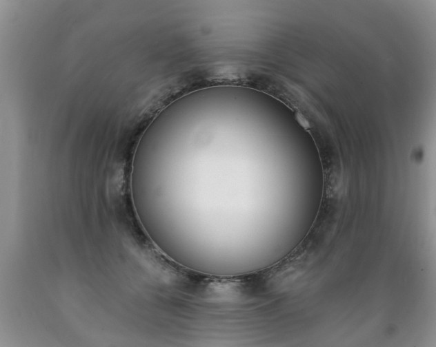 X0000089730560200706210919