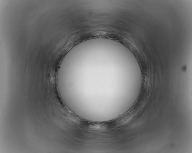 X0000089730561200706210919