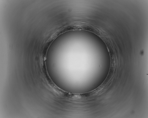 X0000089730562200706210919