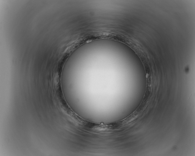 X0000089730563200706210919