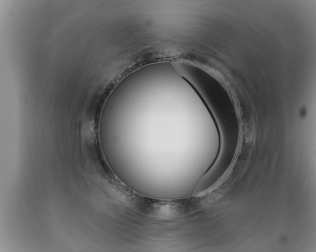 X0000089730564200706210919