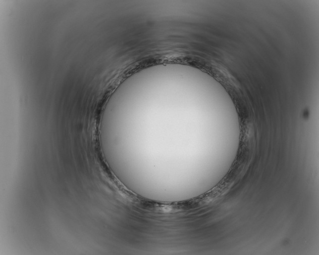 X0000089730565200706210919