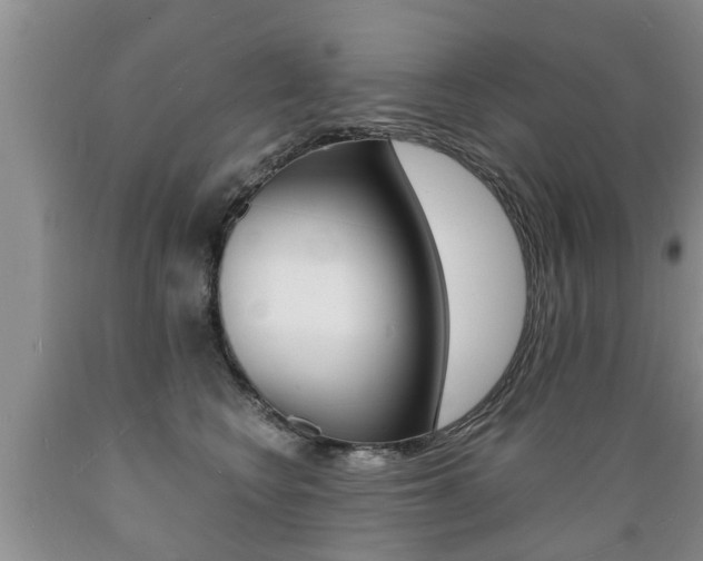 X0000089730566200706210919
