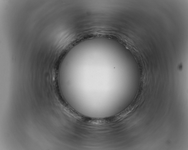 X0000089730567200706210919