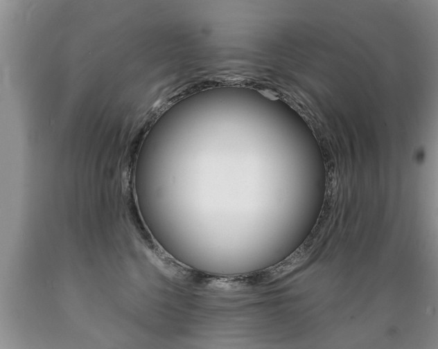 X0000089730568200706210919