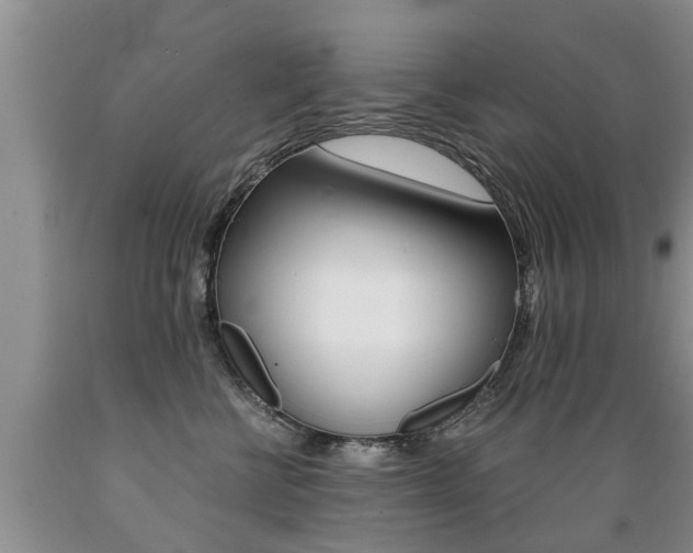 X0000089730570200706210919