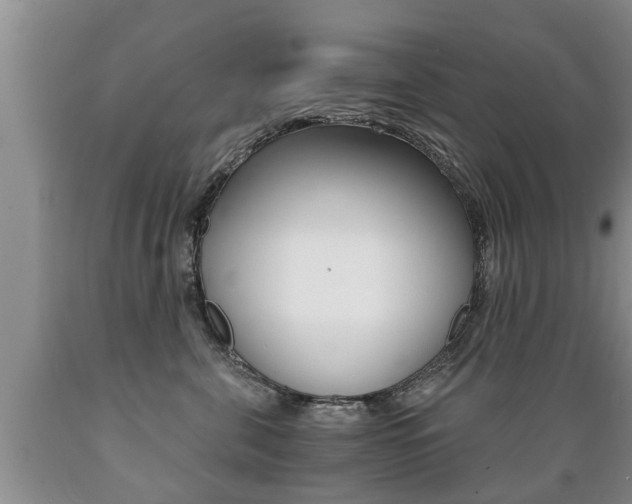 X0000089730571200706210919