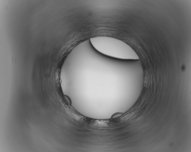X0000089730573200706210919