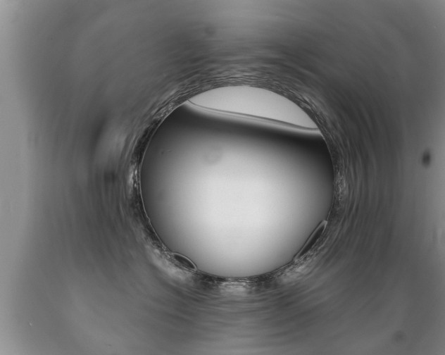 X0000089730574200706210919