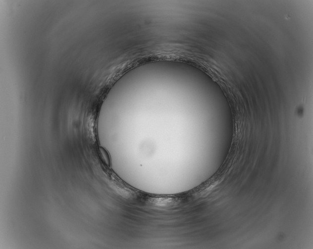 X0000089730575200706210919