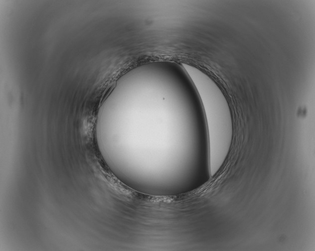 X0000089730576200706210919