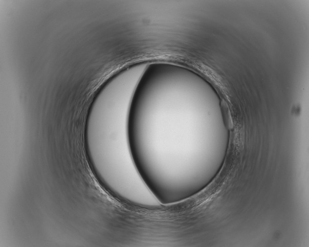 X0000089730577200706210918