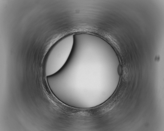 X0000089730578200706210918