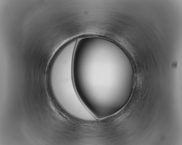 X0000089730580200706210918