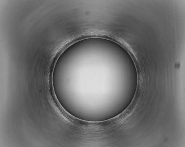 X0000089730581200706210918