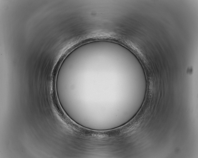 X0000089730582200706210918
