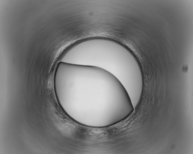X0000089730583200706210918