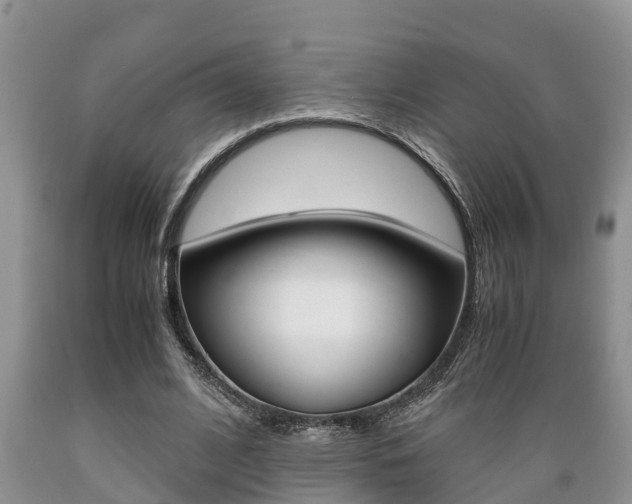 X0000089730584200706210918
