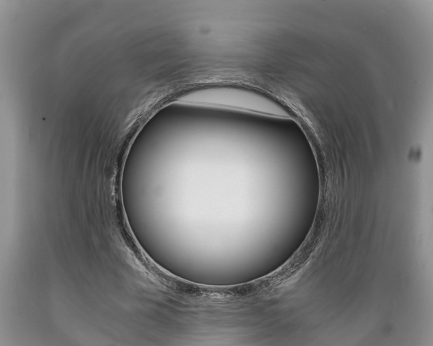 X0000089730585200706210918