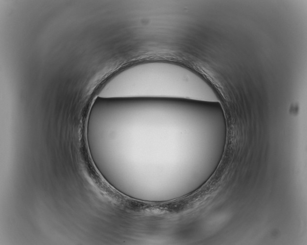 X0000089730586200706210918