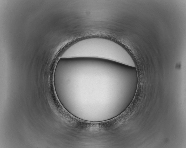 X0000089730587200706210918