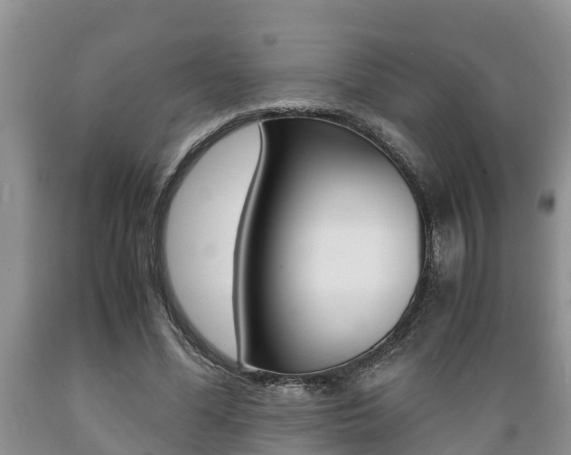X0000089730588200706210918