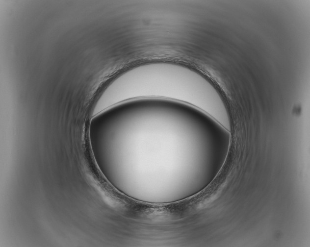 X0000089730589200706210918