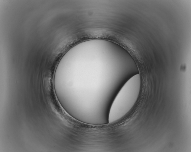 X0000089730590200706210918