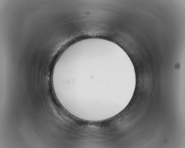 X0000089730592200706210918